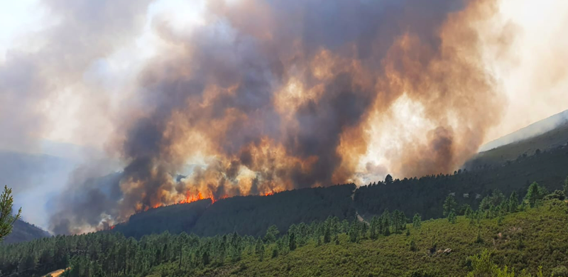 Se reactiva en algunos puntos el incendio de Monsagro 