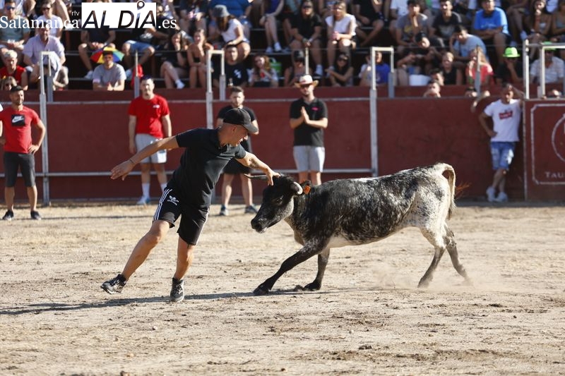 Una capea inaugura la programación taurina de las fiestas de Santa Marta