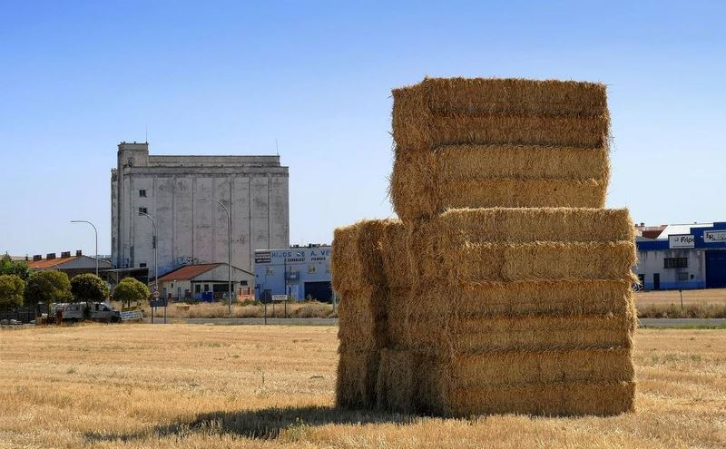  Rectángulos dispares