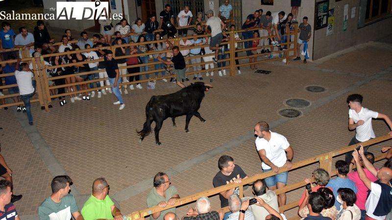 Animada velada taurina en Lumbrales con dos toros de cajón