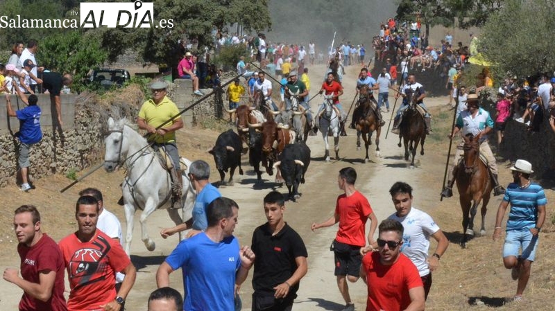 Bonito segundo encierro a caballo de las Fiestas de Toros de Lumbrales