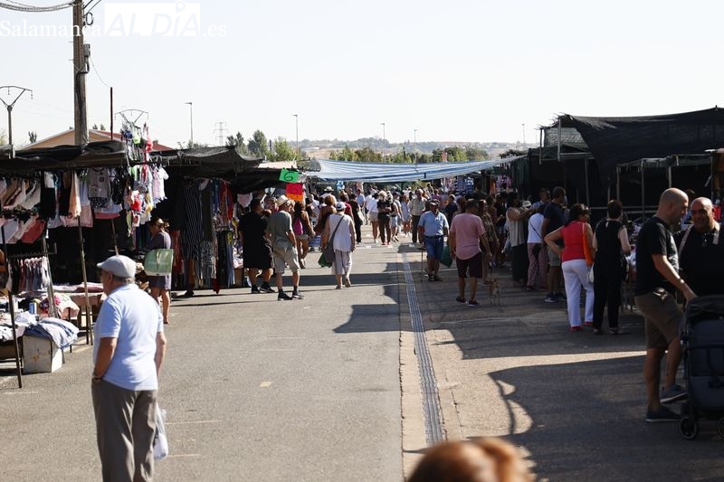 El Rastro de La Aldehuela resiste el calor del verano con una buena afluencia de público