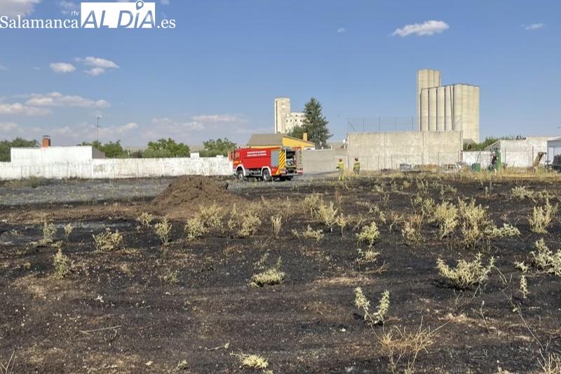 Declarado un incendio en el acceso al poligono industrial de Peñaranda