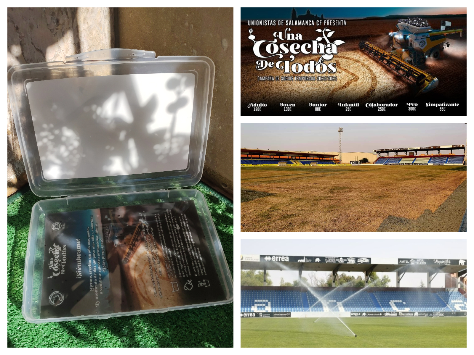 Los unionistas que hemos visto crecer la hierba