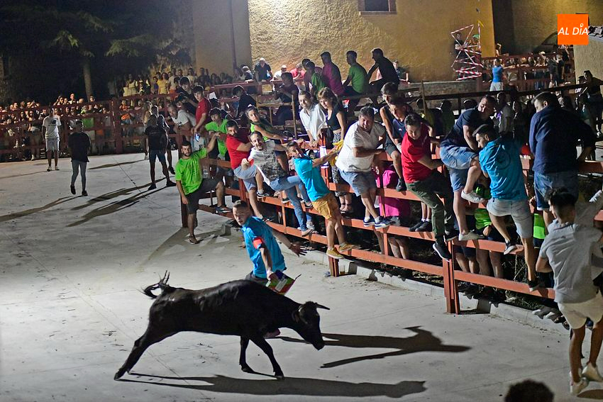 Concurridísima madrugada taurina en Serradilla del Llano