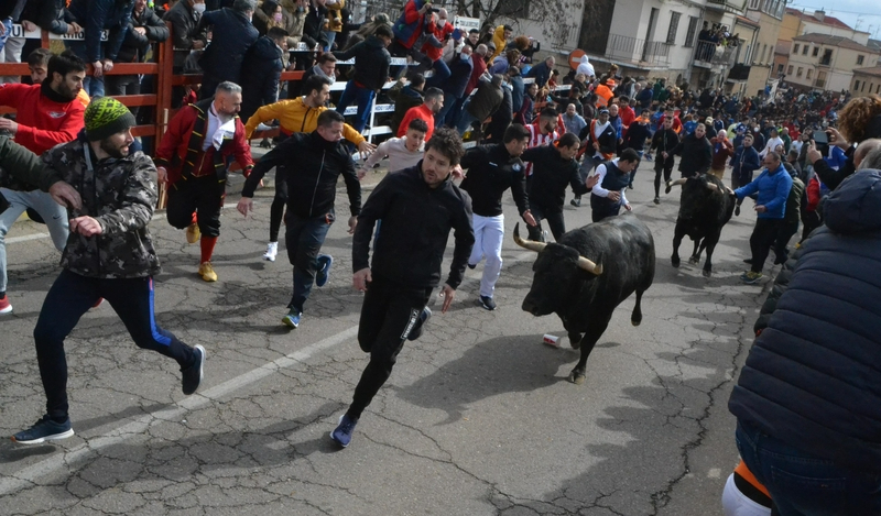 Una cara nueva en la Comisión que organizará el Carnaval del Toro 2023