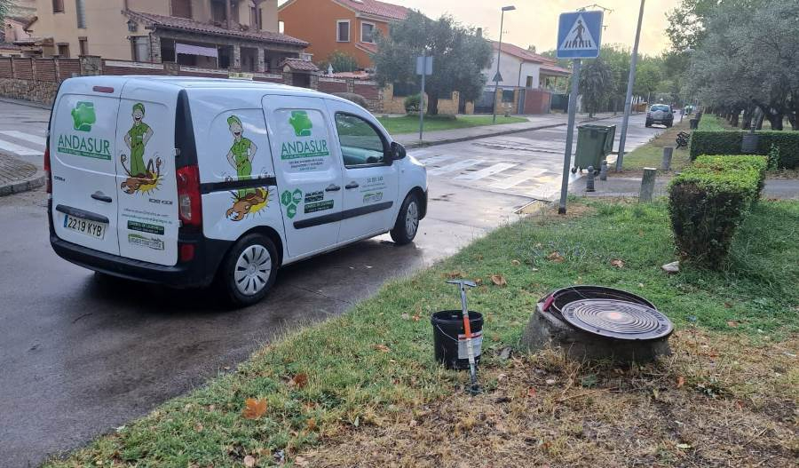 En marcha tareas de desratización y desinsectación en varios puntos de la ciudad