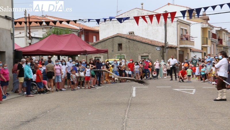 Cetrería, danza oriental y espectáculos de fuego acompañarán al público en la Feria Medieval de Vitigudino 