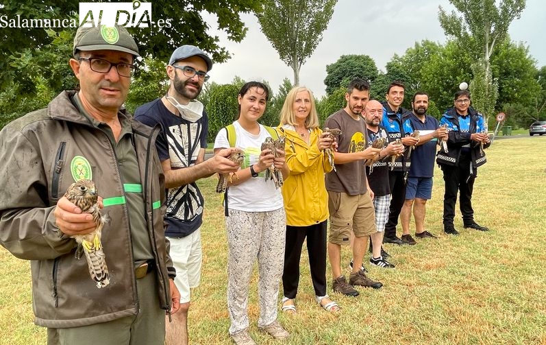 Devueltas a la naturaleza doce aves tratadas en el Centro de Recuperación de Fauna ‘Las Dunas’