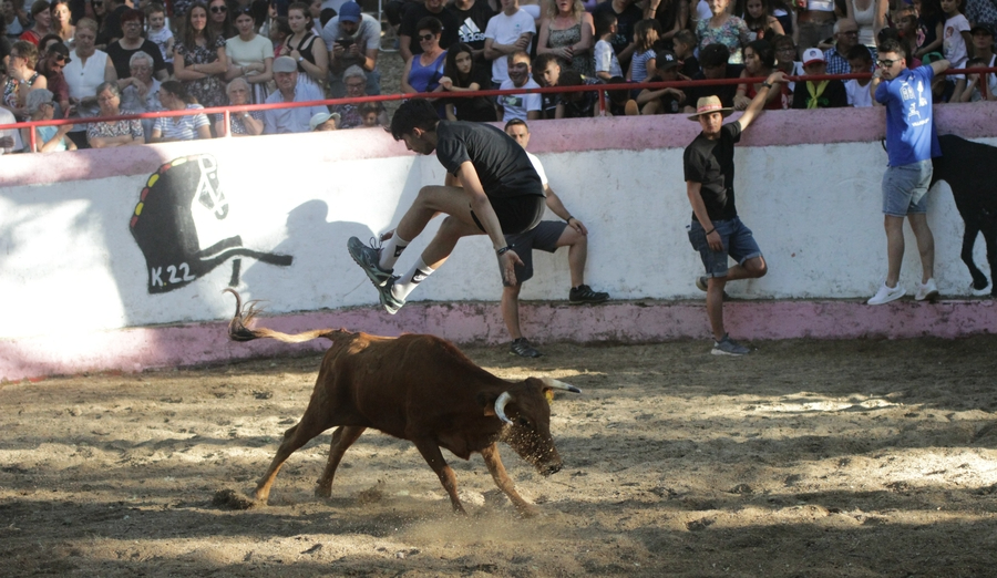 Los jóvenes se lo pasan en grande en Villasrubias con las vaquillas, que provocan varios sustos