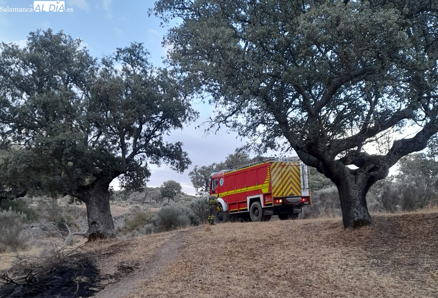 Permanece activo un incendio declarado en Casasola de la Encomienda