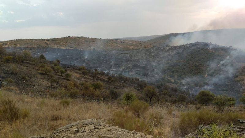 Peligroso incendio en la finca de Valicobo en La Fregeneda