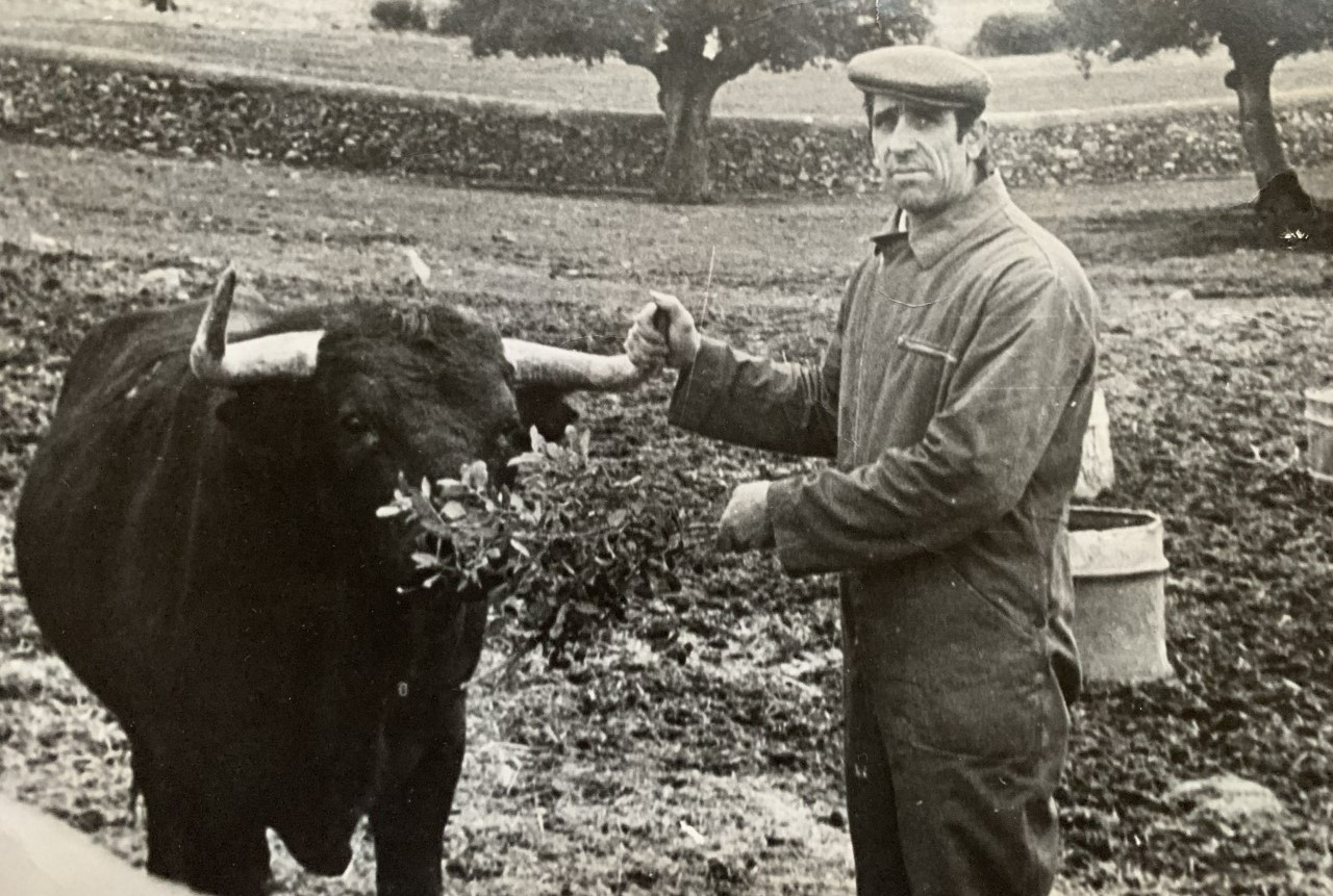 Jesús Sánchez Santos, Jesús ‘El Largo’, mayoral hasta la médula