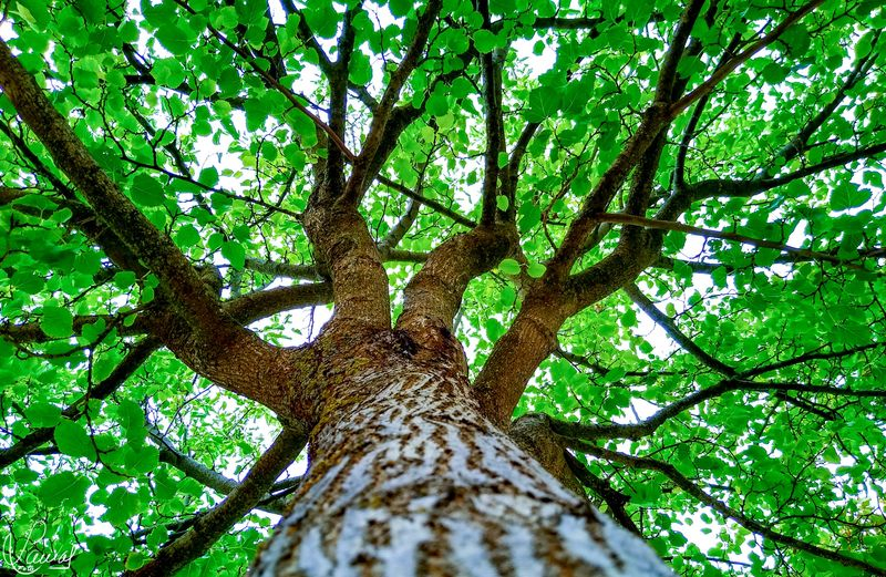 El abrazo de la madre naturaleza