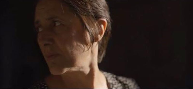 El anuncio de McDonald`s dirigido por Rodrigo Cortés para apoyar a ganaderos y agricultores afectados por los incendios