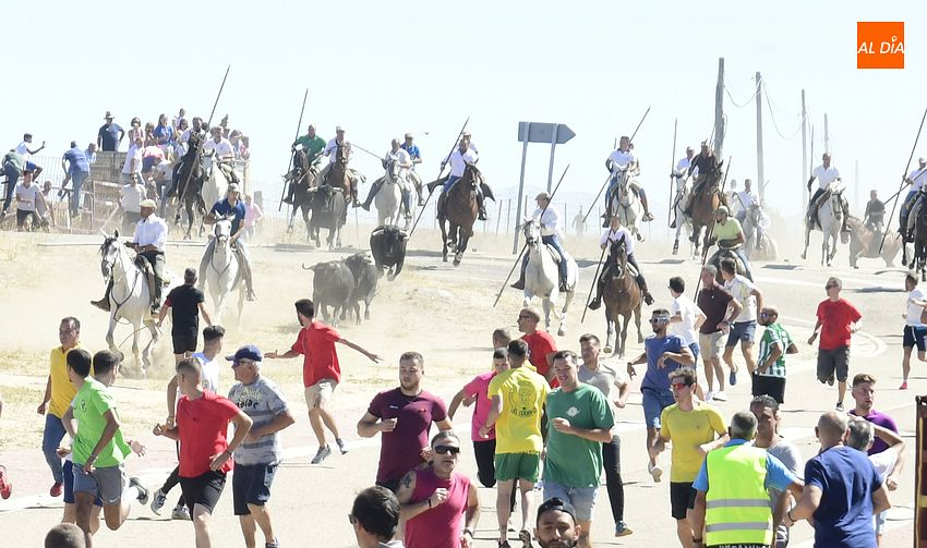 Los encierros de Fuenteguinaldo están de vuelta con una masiva asistencia de público