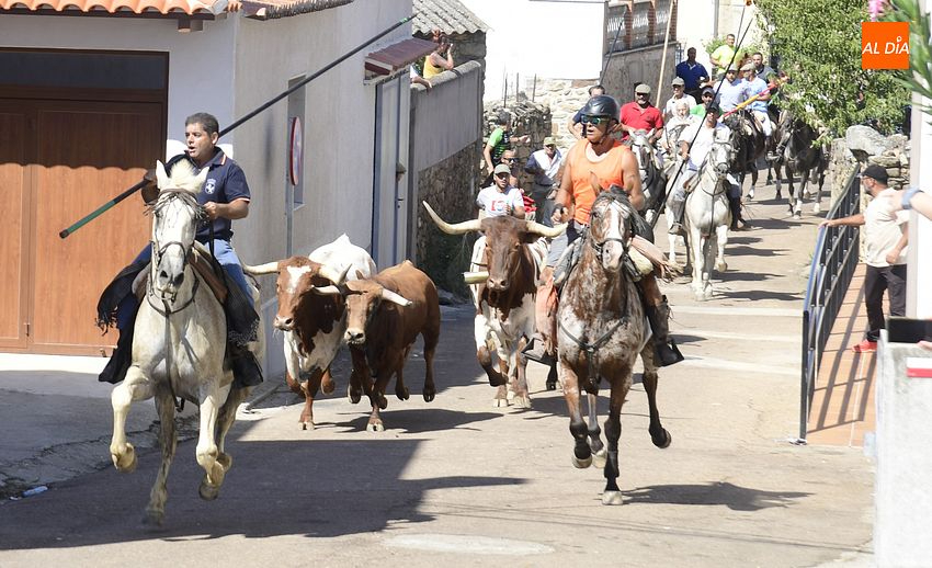 Exitoso encierro a caballo en Villar de Ciervo con momentos de peligro al final del recorrido