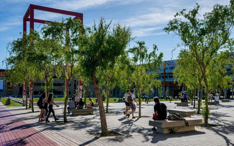 Ayudas de hasta 700 euros para universitarios que estudien un idioma extranjero