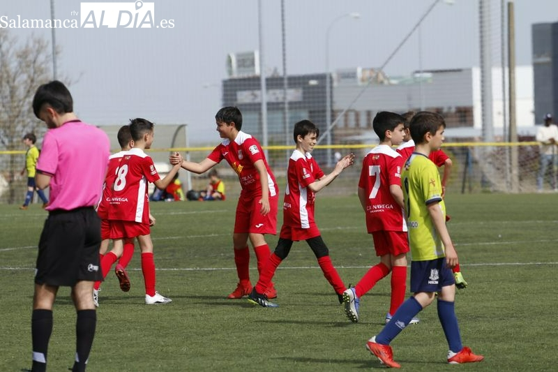 El fútbol base vuelve a escena por la puerta grande: ¿Cuándo empieza, qué número de equipos hay y cuántos niños juegan? 
