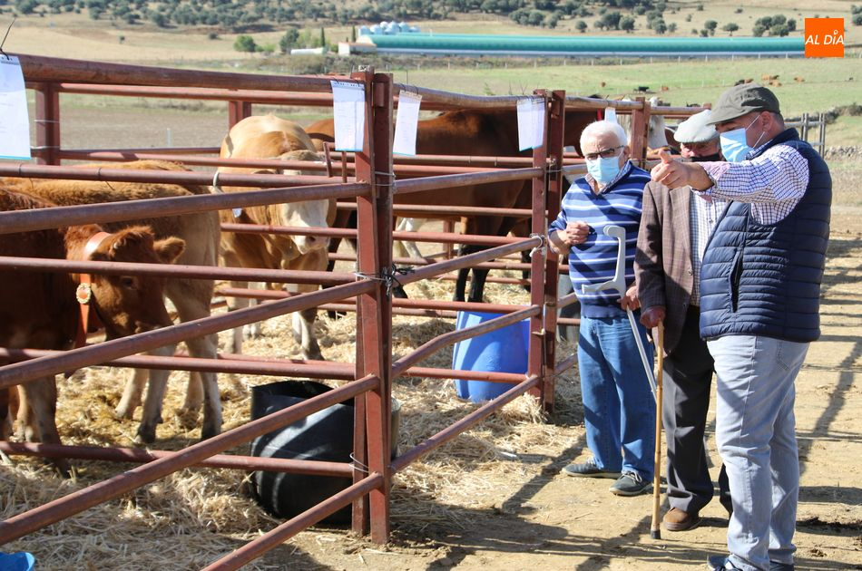 Galinduste anuncia su VI Feria Agroalimentaria 