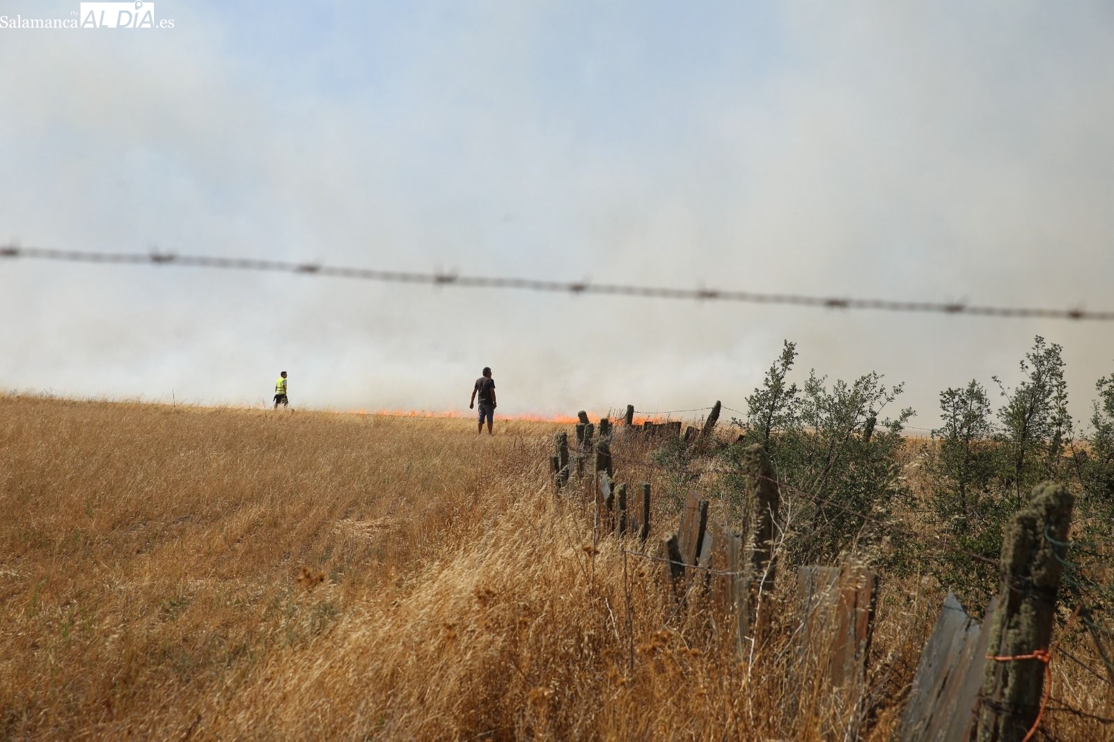 Extinguido un peligroso incendio con varios focos en la carretera de Aldeaseca de Alba