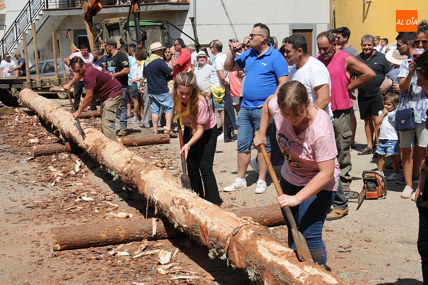 Izado un pino de 27 metros de altura en la Plaza de Villasrrubias en honor a San Ceferino