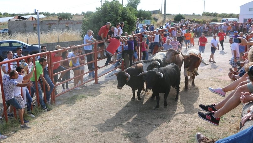 Pereña reserva para el primer fin de semana de septiembre los platos fuertes de las fiestas