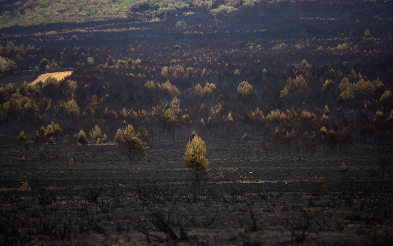 Extinguido 72 días después de su inicio el fuego de la Sierra de la Culebra (Zamora)