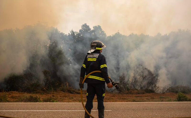 La iniciativa de un zamorano para conseguir fondos que se destinarán a la zona afectada de la Sierra de La Culebra, en Zamora