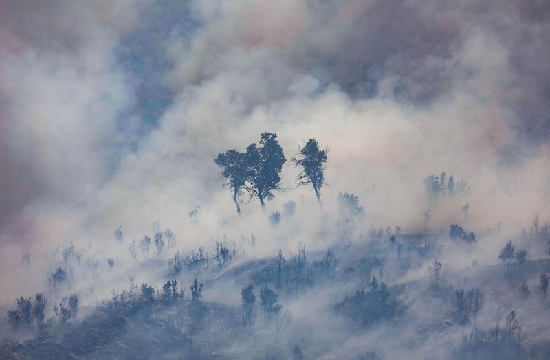 El número de hectáreas que han ardido en España en lo que va de año 