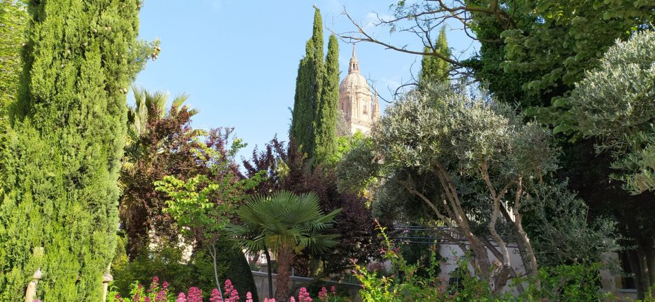 La web de Savia Salamanca se afianza como referente para la información medioambiental local