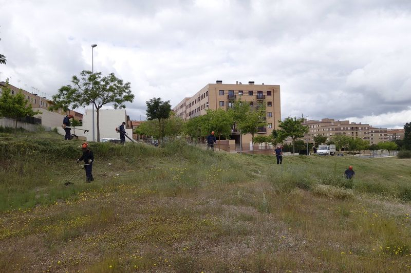 El Ayuntamiento acomete la limpieza de más de 317.000 metros cuadrados de solares 