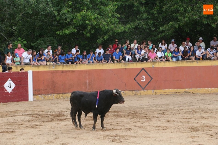 El calendario con las actuaciones de los alumnos de la Escuela de Tauromaquia de Salamanca en agosto 