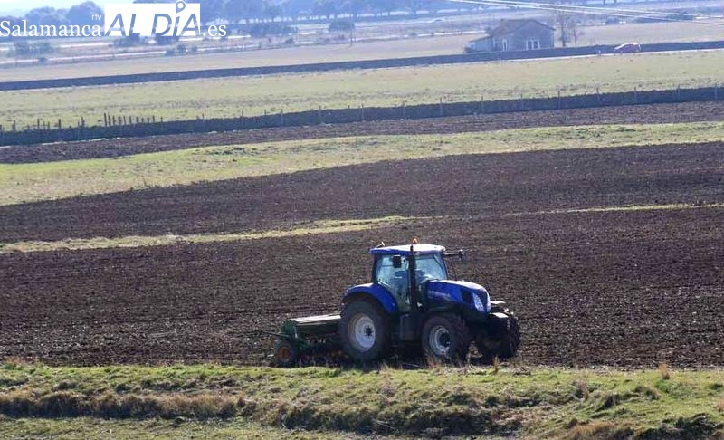 AgroBank financia al sector agroalimentario de Castilla y León con 1.083 millones de euros