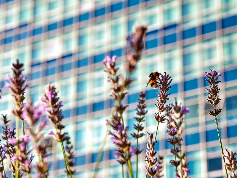 Las mejores imágenes del certamen fotográfico para descubrir la belleza natural de Salamanca