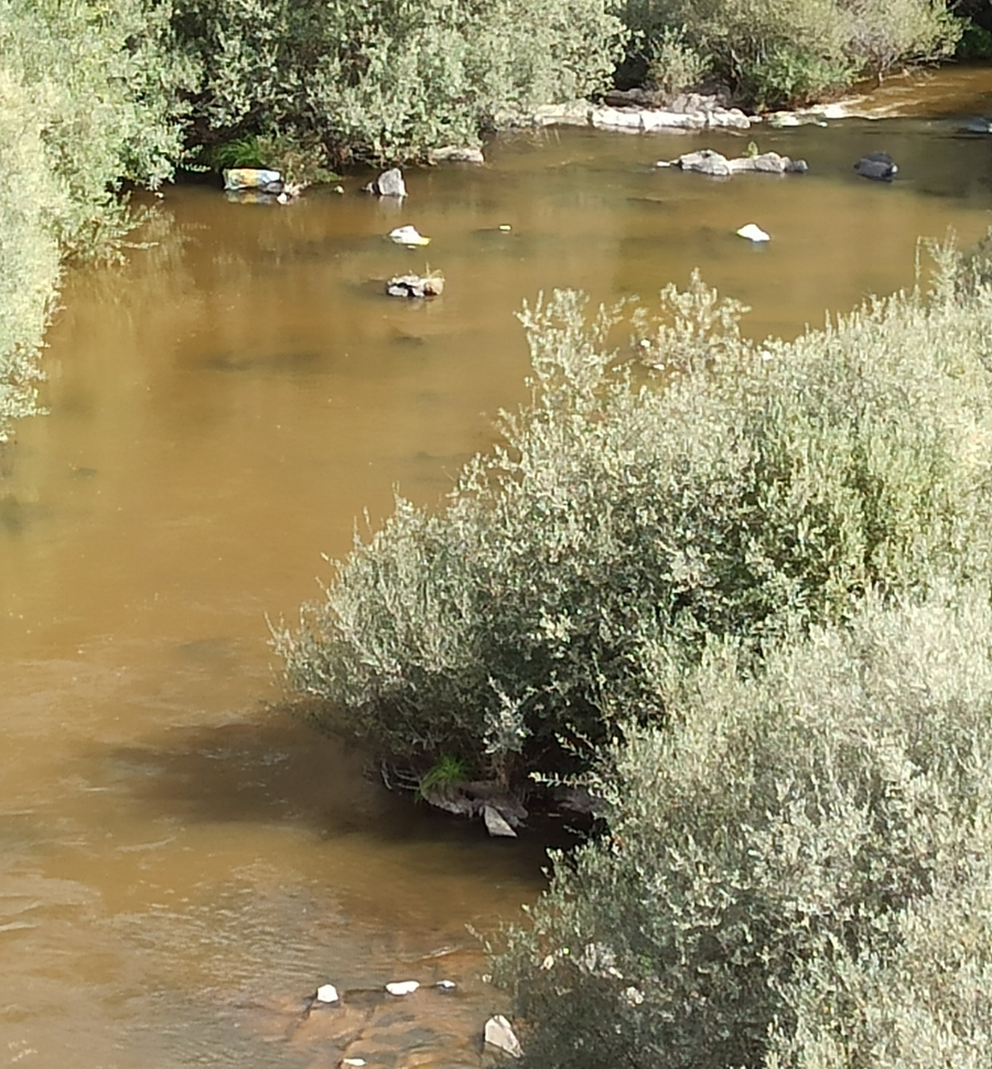 APCRA cree que la Confederación Hidrográfica ha hecho un desembalse negligente de Irueña 