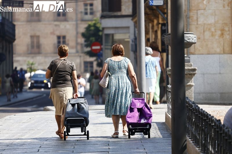 Esto es lo que pueden ahorrar los salmantinos en la cesta de la compra eligiendo el establecimiento más barato 