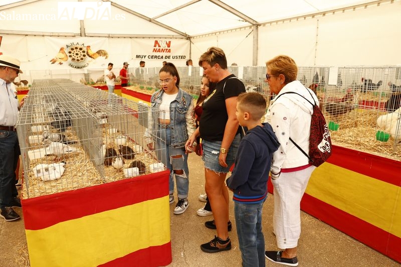 Niños y mayores disfrutan de la primera mañana en Salamaq