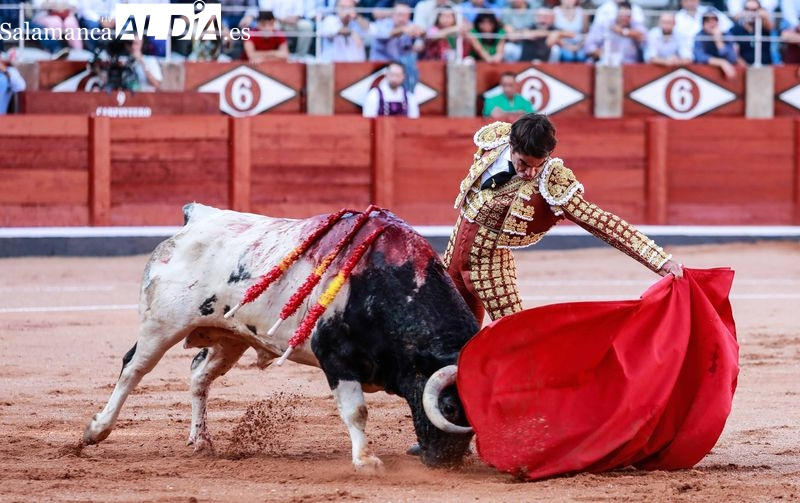 Chillón, de la ganadería de Galache, Toro de Oro 2022