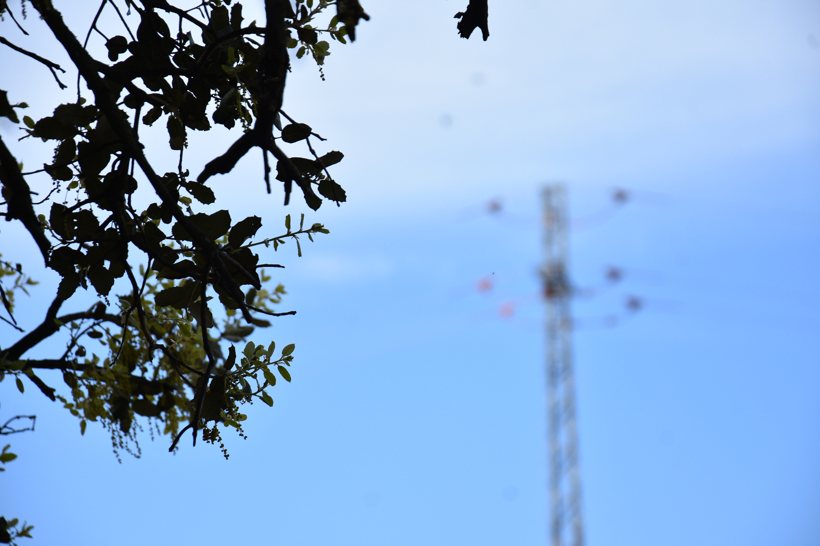 De nuevo la gente de mi barrio