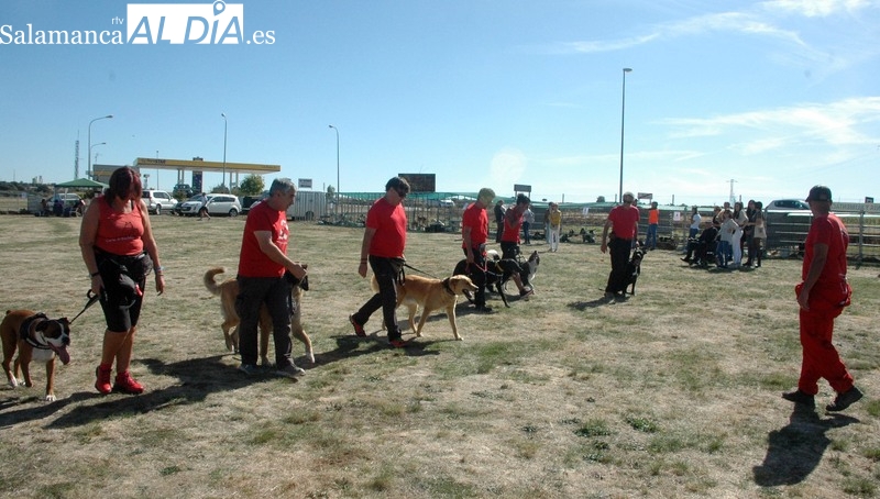Villar de Peralonso ya tiene a punto para el día 24 la VI Feria Canina, de Artesanía y Alimentación