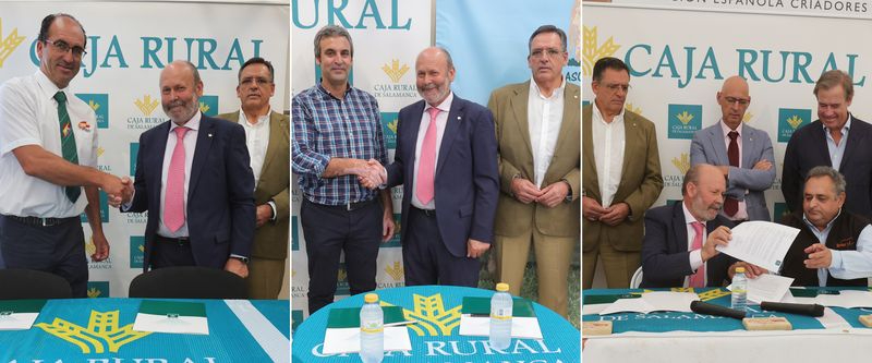 Caja Rural de Salamanca renueva sus acuerdos con criadores de razas limusín y charolés