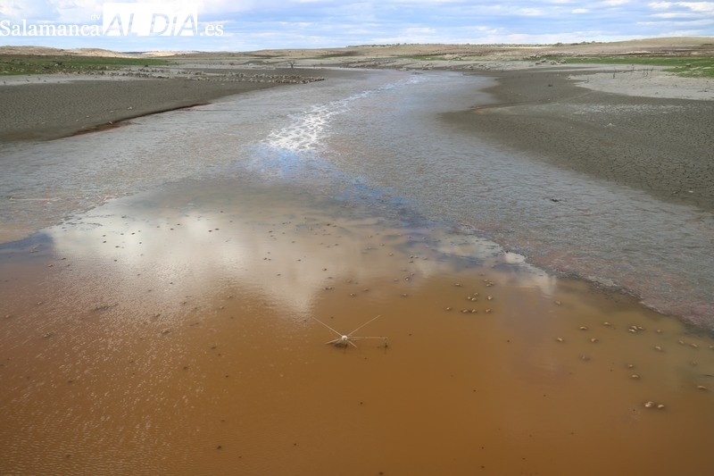 El Gobierno ordena no desembalsar una gota más de agua de Almendra