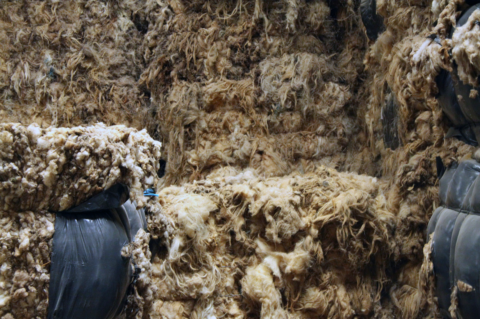 Burgos: Centro del comercio de la lana y 2 