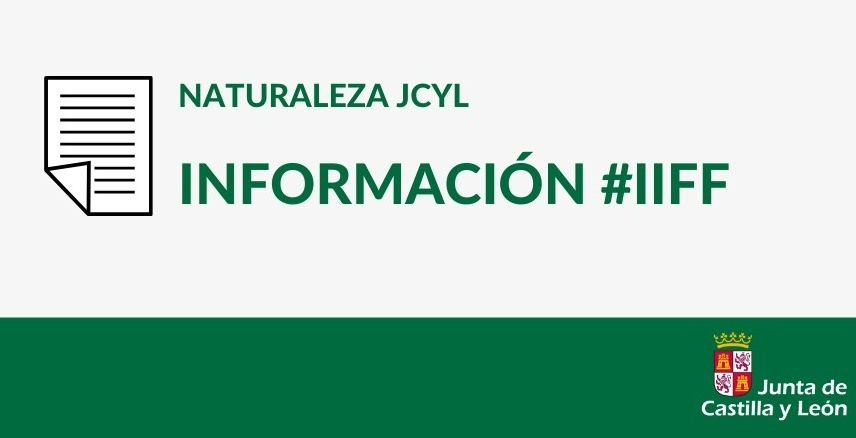 El pequeño incendio forestal de El Bodón fue intencionado