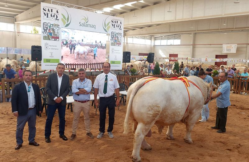 Jornada de Carne de Charolés para ayudar a la Asociación Española contra el Cáncer