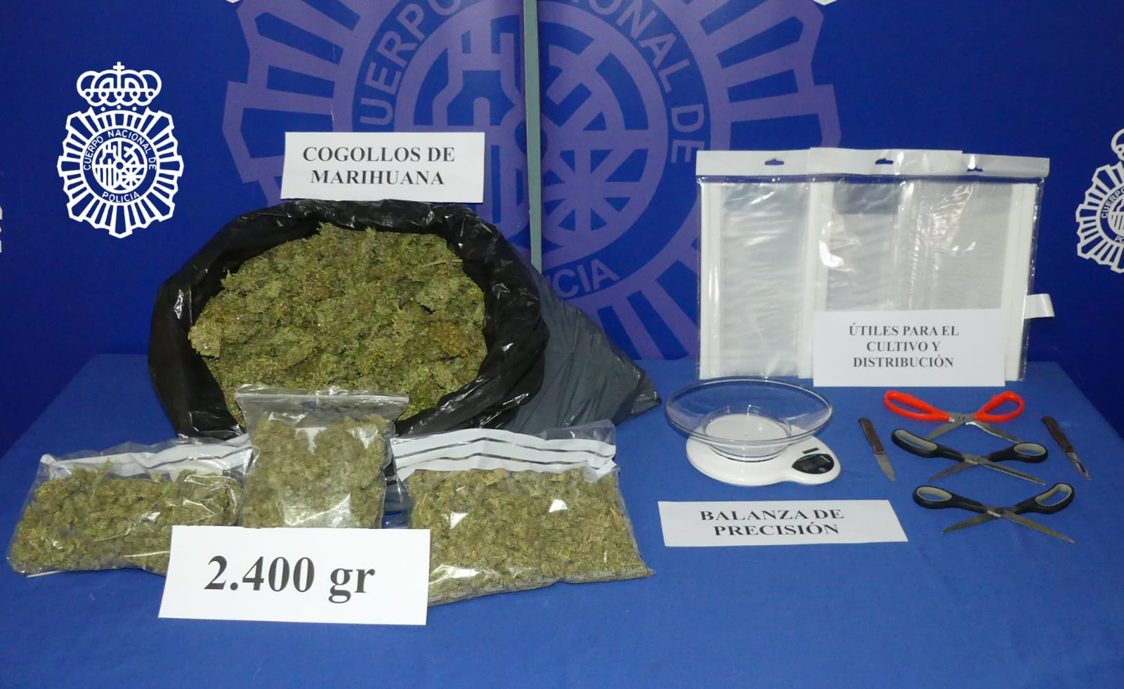 La Policía Nacional detiene a una pareja por tráfico de drogas en Villamayor