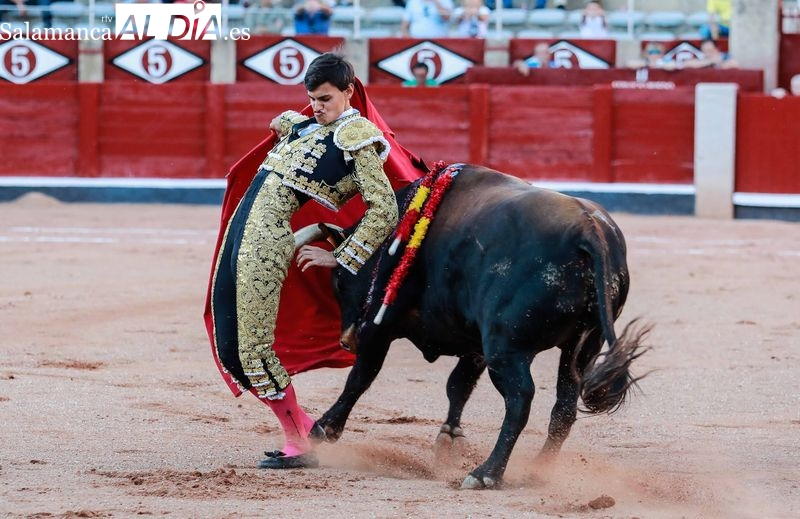 Novillos de presencia superior, pero ayunos de raza y de casta aguada