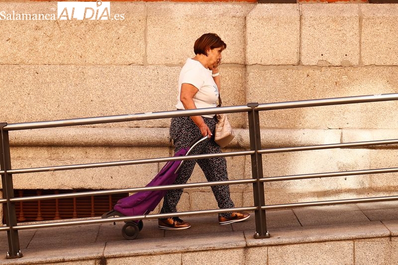 Los productos de la cesta de la compra que más se han encarecido