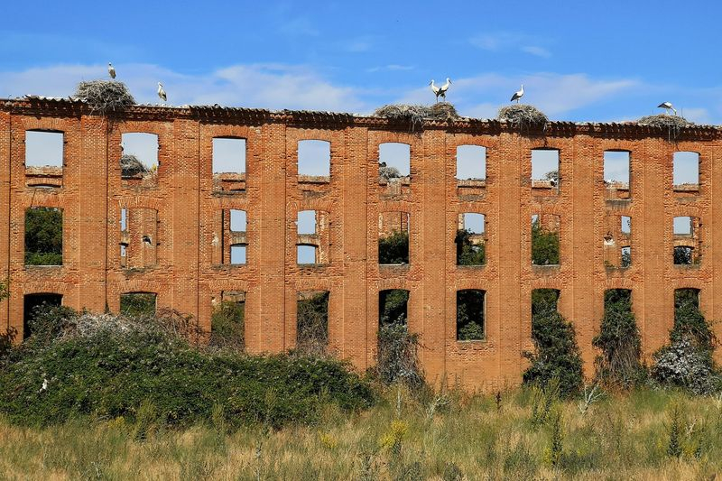 Arquitectura reciclada